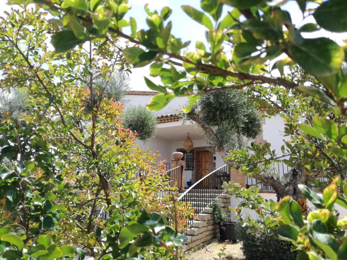 Casa Rural La Amistad Villa Burguillos de Toledo Екстериор снимка