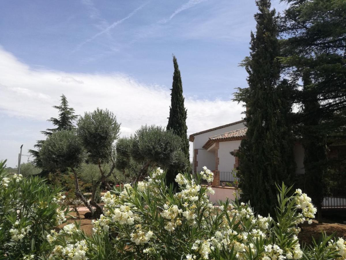 Casa Rural La Amistad Villa Burguillos de Toledo Екстериор снимка