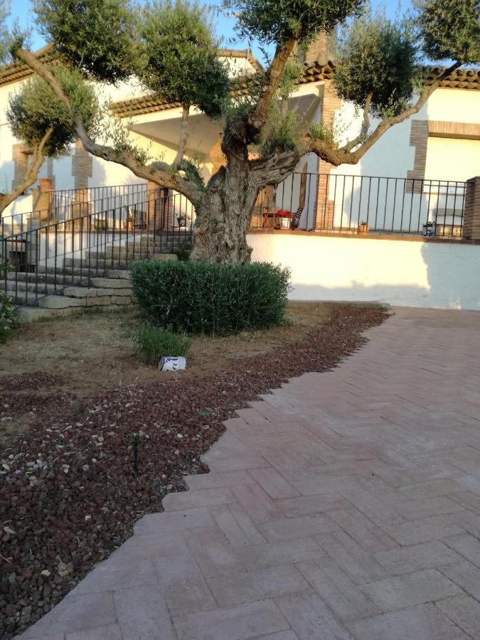 Casa Rural La Amistad Villa Burguillos de Toledo Екстериор снимка