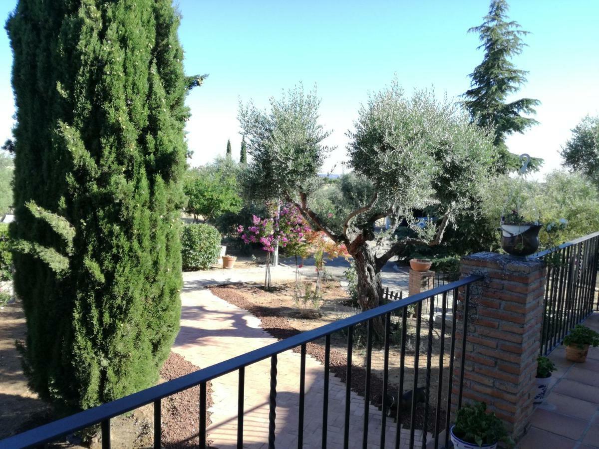 Casa Rural La Amistad Villa Burguillos de Toledo Екстериор снимка