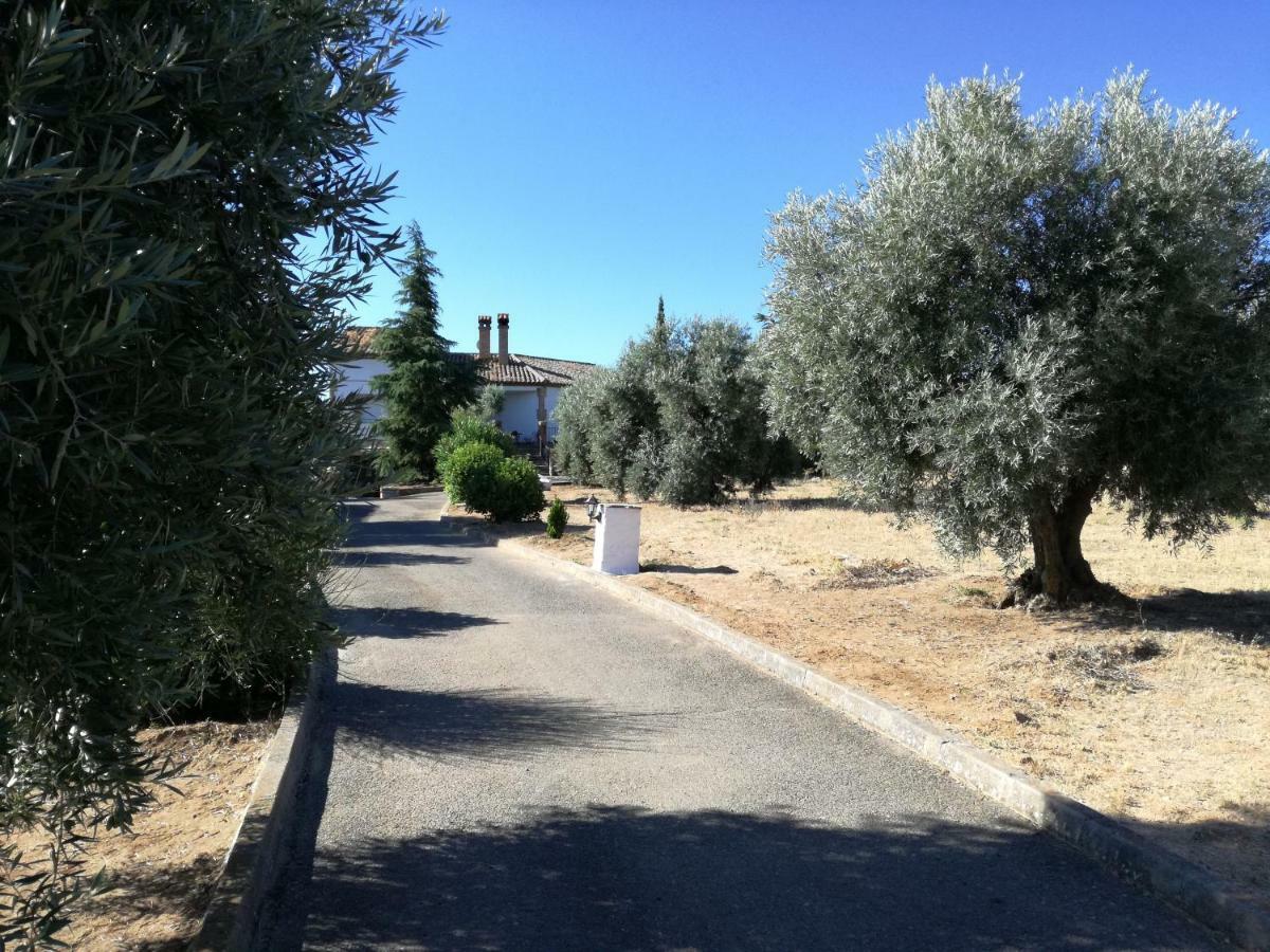 Casa Rural La Amistad Villa Burguillos de Toledo Екстериор снимка