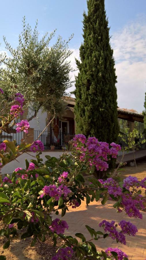 Casa Rural La Amistad Villa Burguillos de Toledo Екстериор снимка