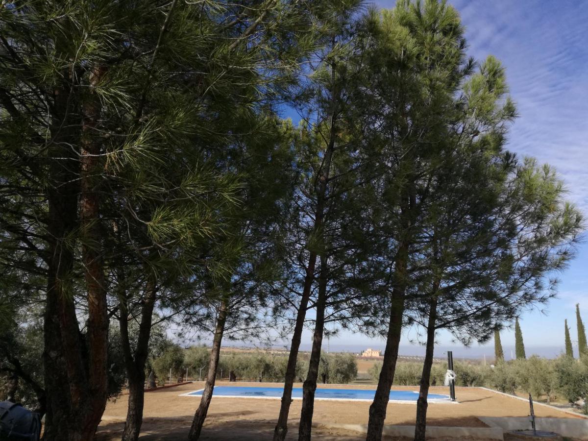 Casa Rural La Amistad Villa Burguillos de Toledo Екстериор снимка